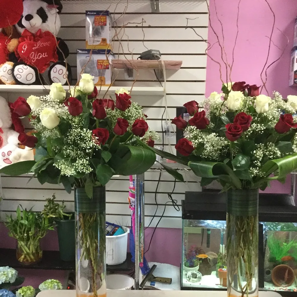 Allis Flower Shop & Gift Inc. business photo