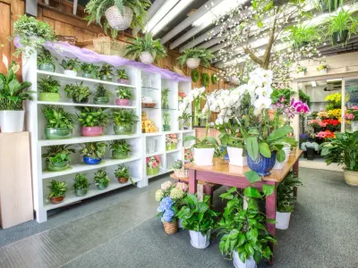 Blossom Flower Shops, Google photo 3