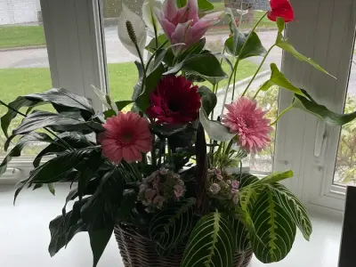 Flowers By Candlelight, Google photo 1