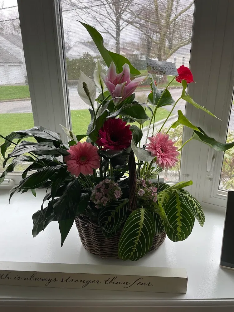 Flowers By Candlelight business photo