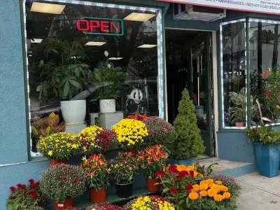 Monarca florist, Google photo 1