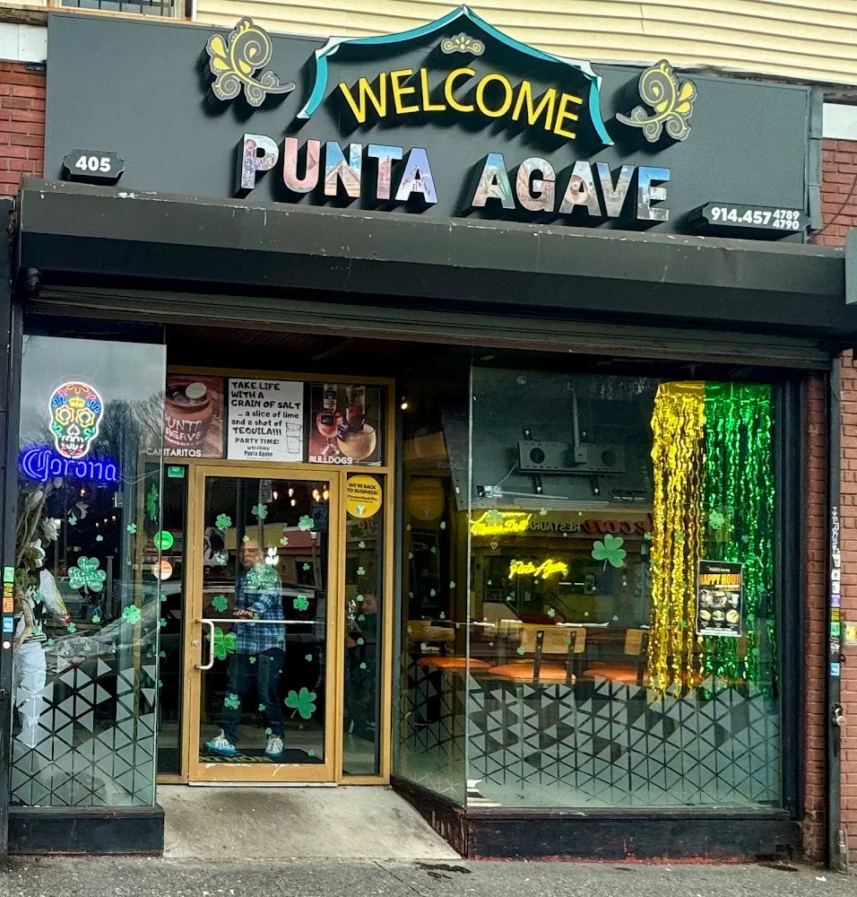 Punta Agave business photo