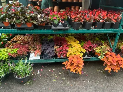 Windy Farm Garden Center & Contracting, Google photo 1